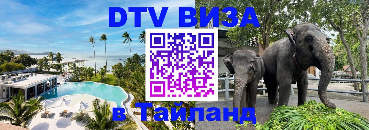 Как сделать DTV визу в Тайланд 